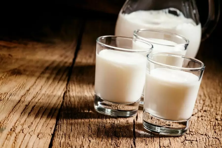 Kandungan Susu Kambing Etawa Tidak Kalah dengan Susu Sapi
