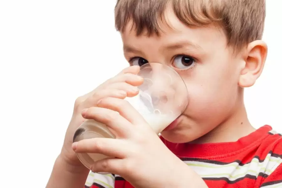 Pola dan Waktu yang Baik untuk Minum Susu Kambing Etawa