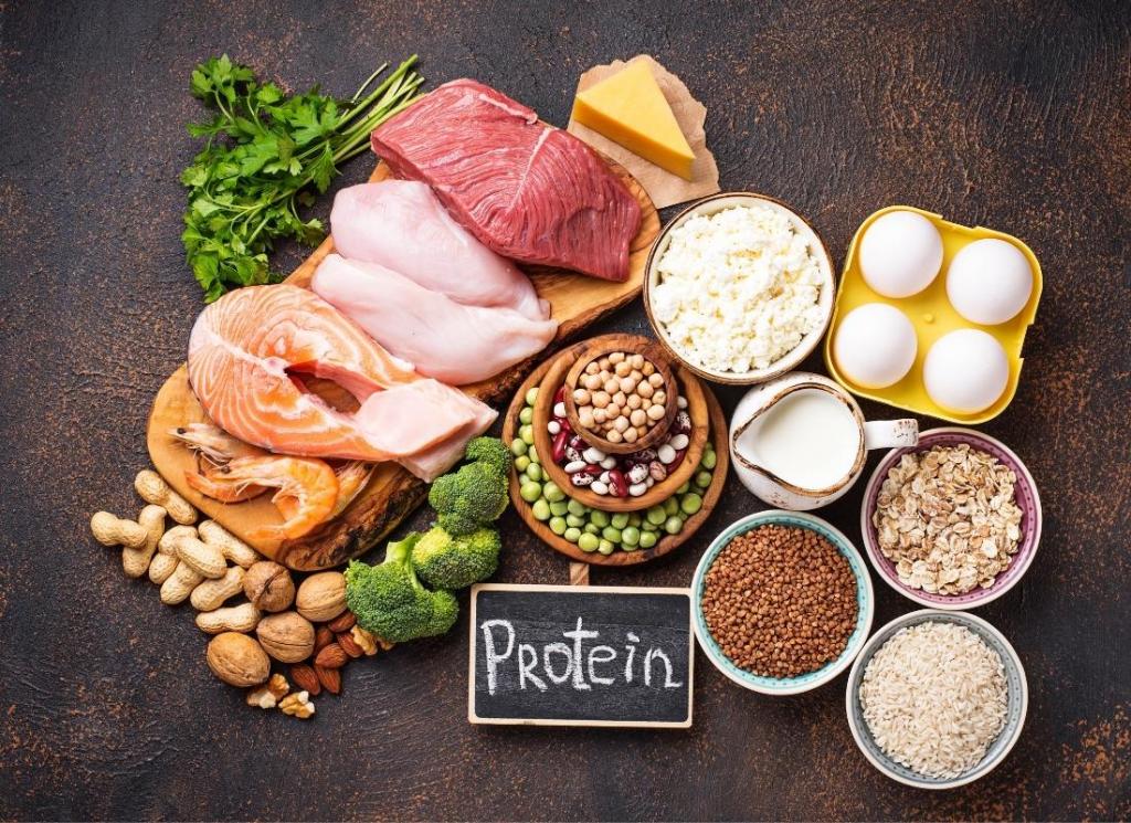 klasifikasi protein