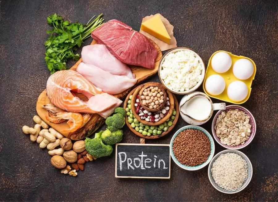 Mari Kenali Apa Saja Klasifikasi dari Protein