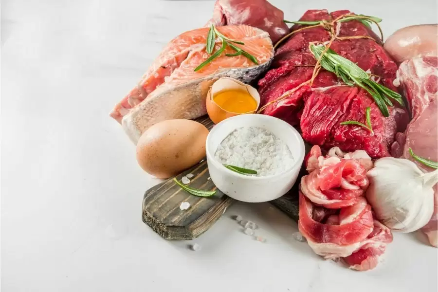 5 Tahapan Sintesis Protein di Dalam Sel Makhluk Hidup