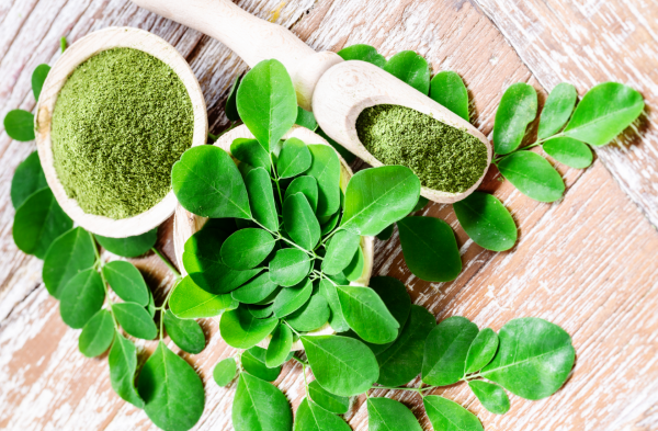 daun kelor komposisi nutriflakes