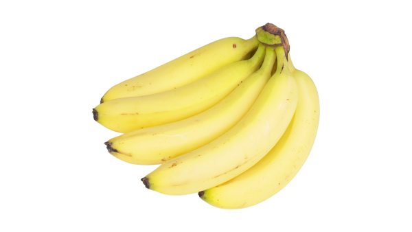 pisang cavendish