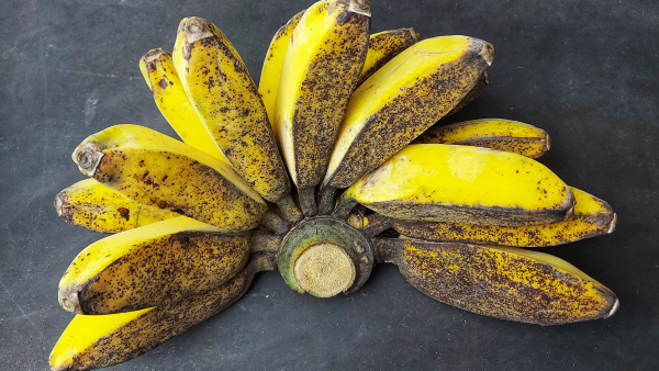 pisang kepok