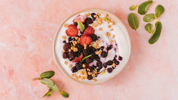 yoghurt sumber probiotik
