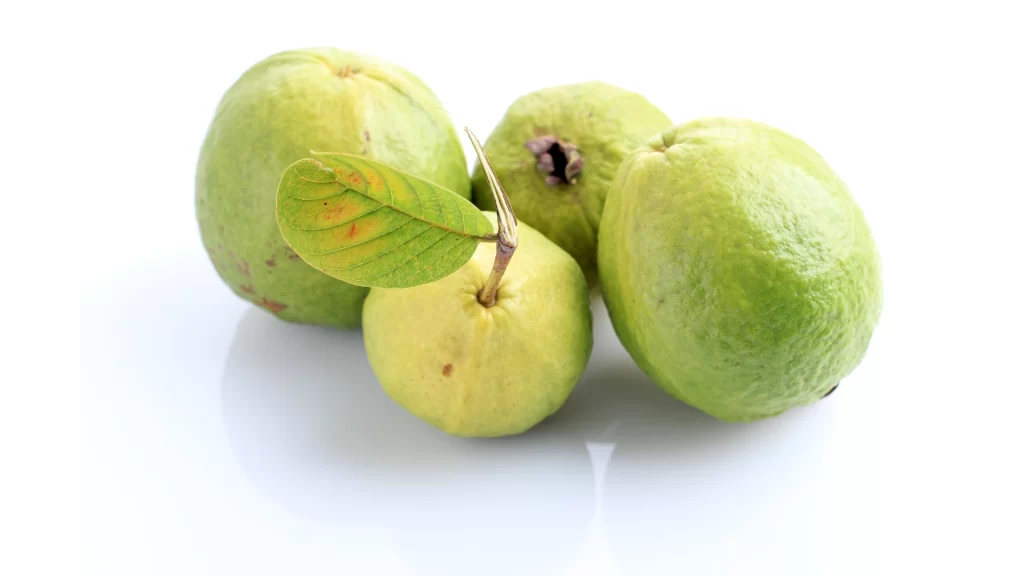 daun jambu biji muda atasi mencret