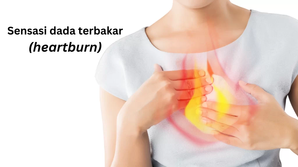 sensasi_dada_terbakar