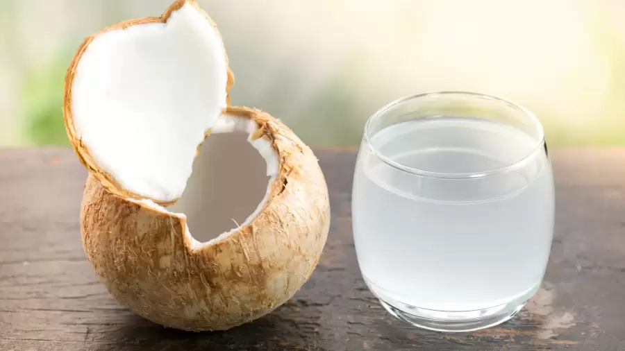 Rekomendasi Obat Maag Alami Bukan Zat Kimia