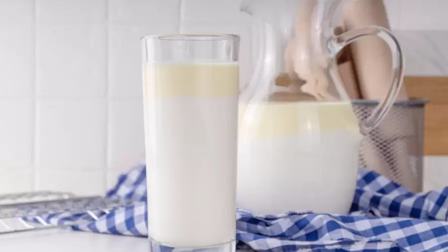 Cara Minum Susu Kambing Etawa Untuk Asam Lambung