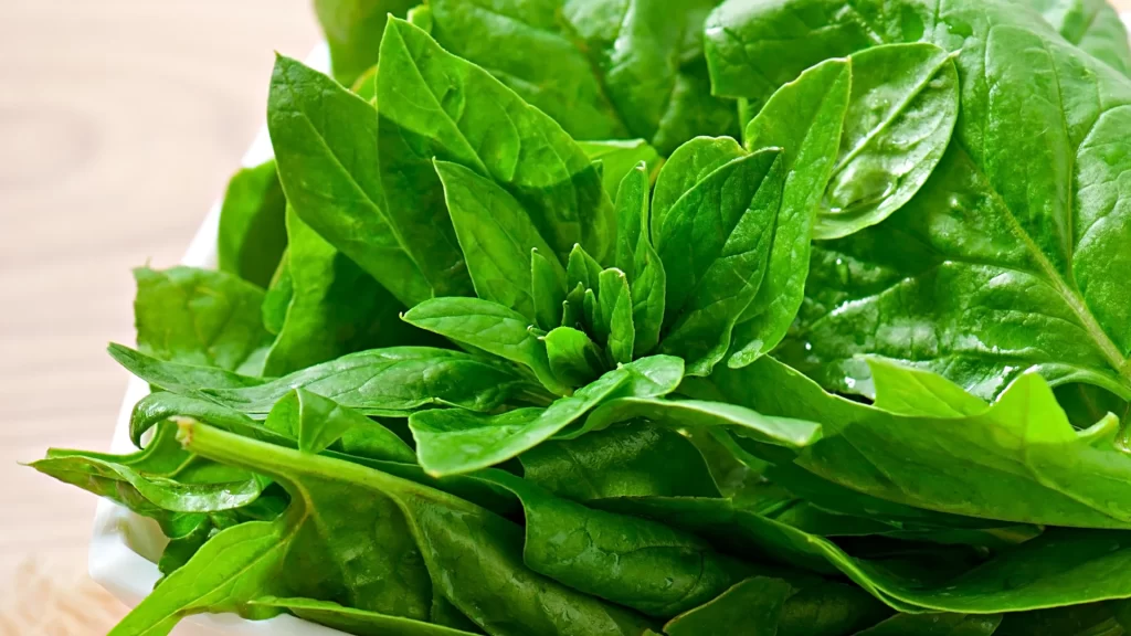 bayam_sayur_penambah_darah