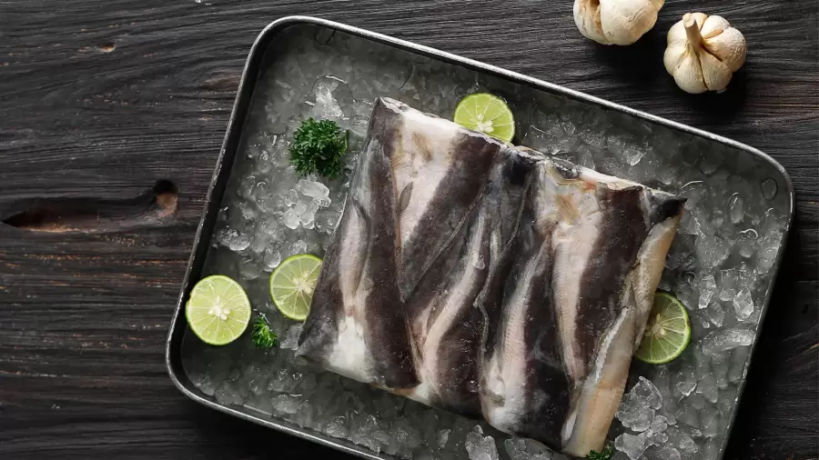 Apakah Asam Lambung Boleh Makan Ikan Lele?