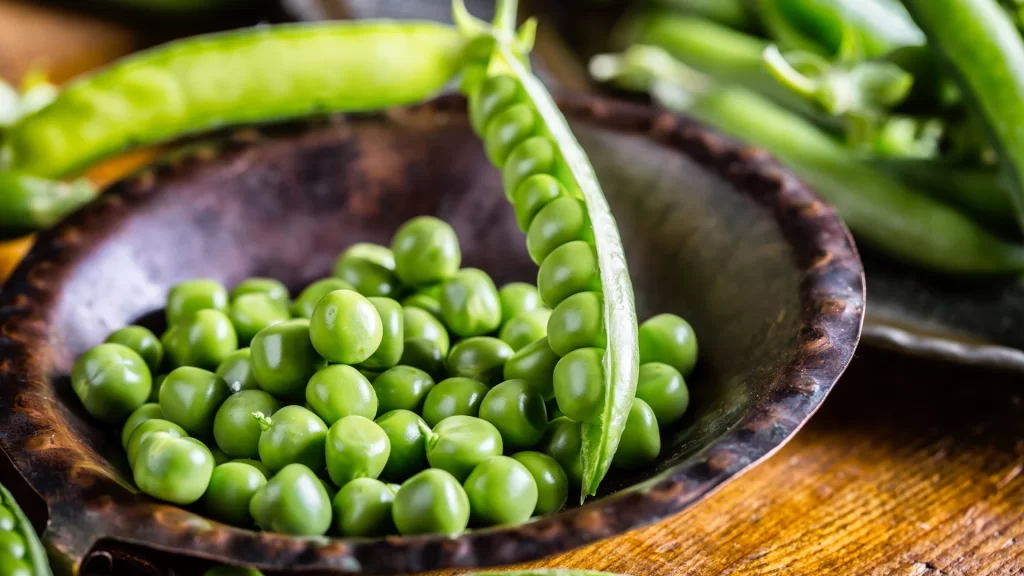 kacang_polong