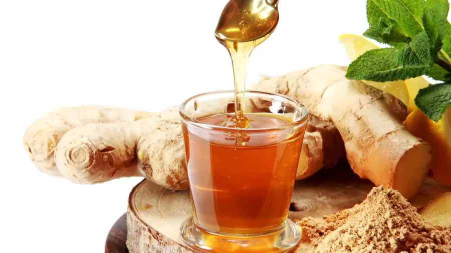 Obat Tradisional Batuk Akibat Asam Lambung