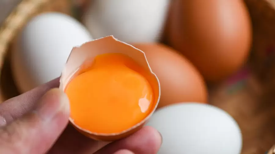6 Manfaat Kuning Telur bagi Kesehatan Lambung