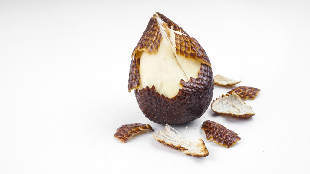 salak_zat_besi_tinggi