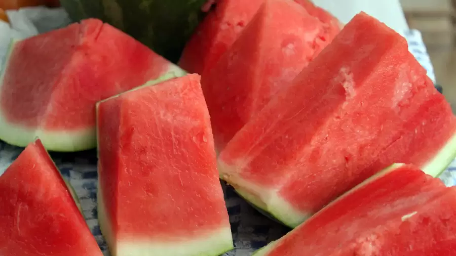 Cara Mengolah Semangka untuk Asam Lambung
