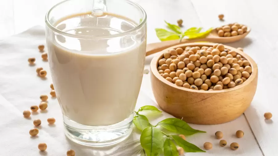 Manfaat Luar Biasa Susu Kedelai untuk Asam Lambung