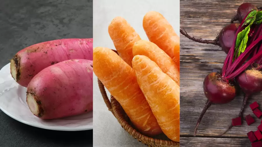 Diet Tinggi Serat Bermanfaat untuk Wasir
