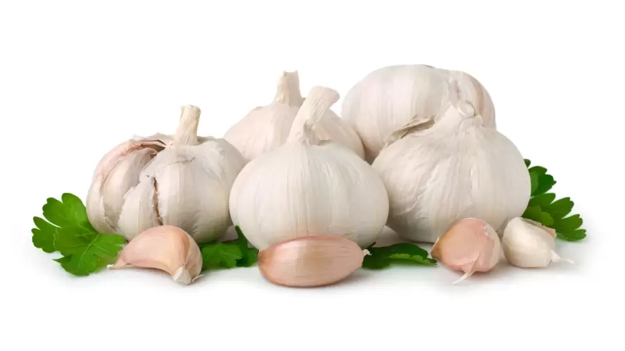 Bawang Putih Mentah Manfaatnya untuk Kesehatan Lambung