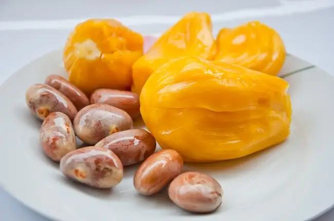 Biji Nangka Rebus untuk Mengatasi Asam Lambung