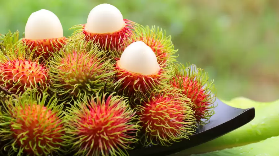 Bolehkan Penderita Asam Lambung Makan Buah Rambutan?