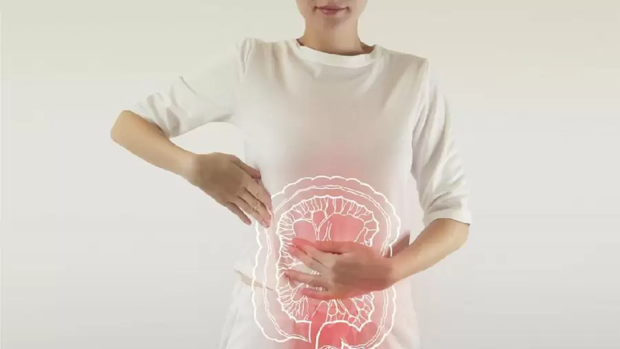 Memahami Gejala Radang Usus Buntu Penyebab, Diagnosis, dan Penanganan