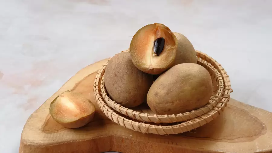 Manfaat Buah Sawo Untuk Kesehatan Mengungkap Kekayaan Gizi Dalam Buah Yang Terlupakan