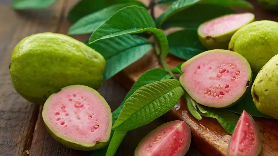 Jarang diketahui Manfaat Jambu Biji Merah untuk Asam Lambung