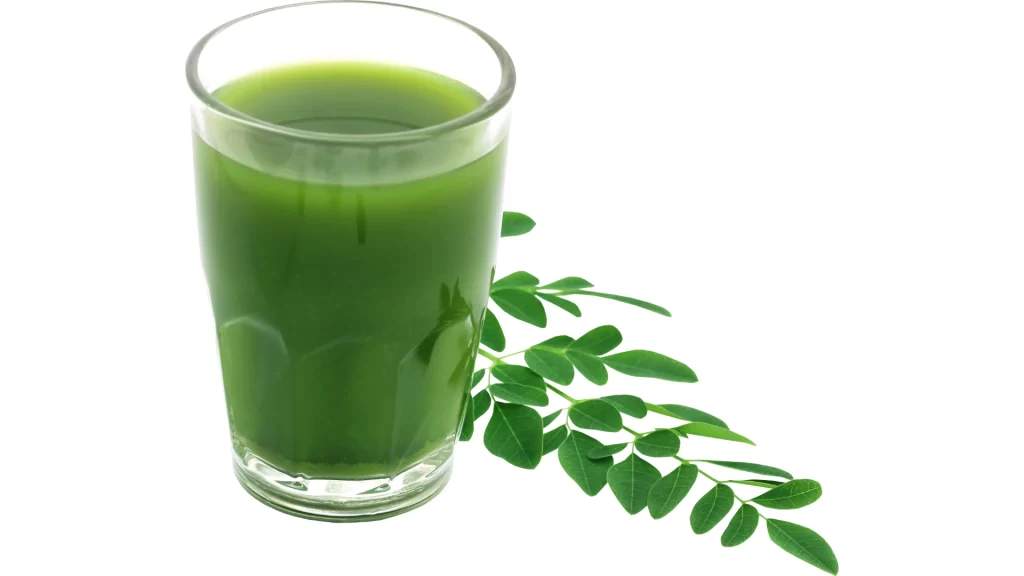 manfaat minum air rebusan daun kelor sebelum tidur