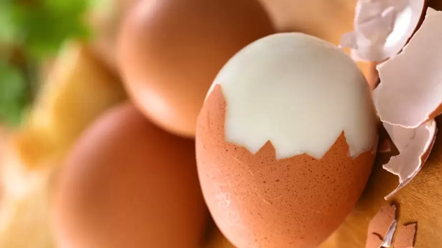 Manfaat Telur Rebus untuk Asam Lambung, Peran Penting Protein