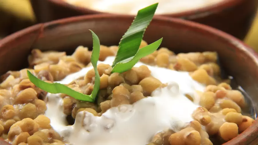 Apakah Kacang Hijau Aman untuk Asam Lambung? Berikut Ulasannya