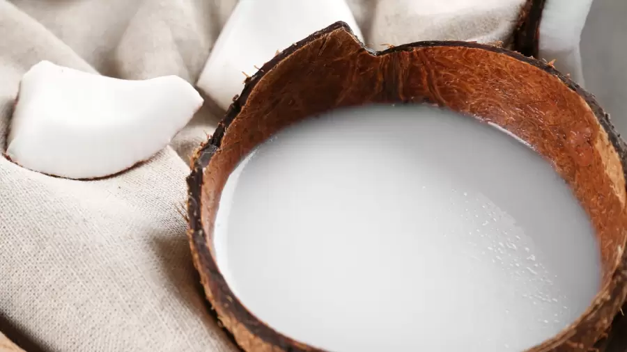 Penderita Asam Lambung Makan Santan, Bolehkah?