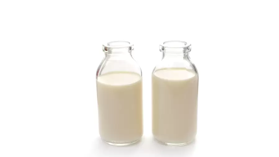 Khasiat Susu Kambing Etawa Murni