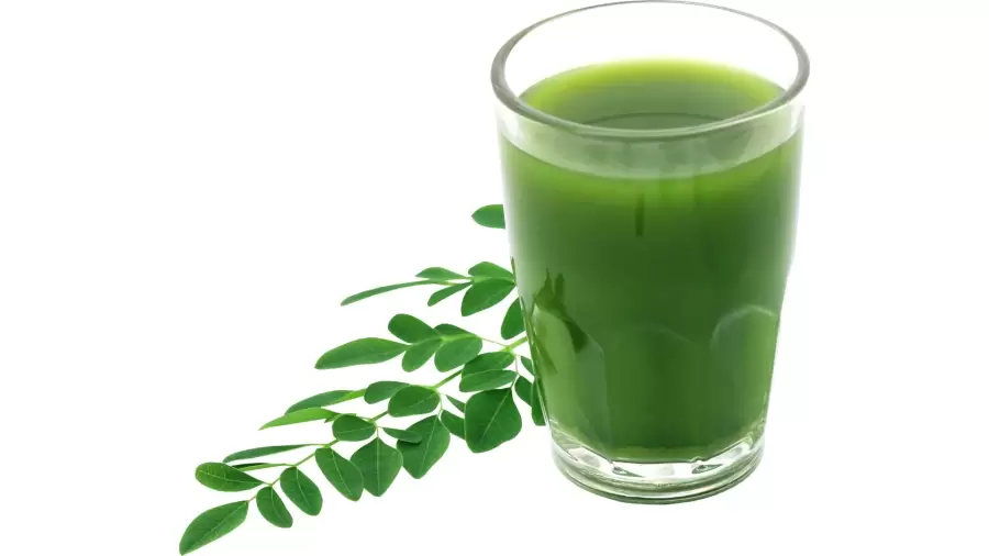 Aturan Minum Rebusan Daun Kelor yang Perlu Diperhatikan!