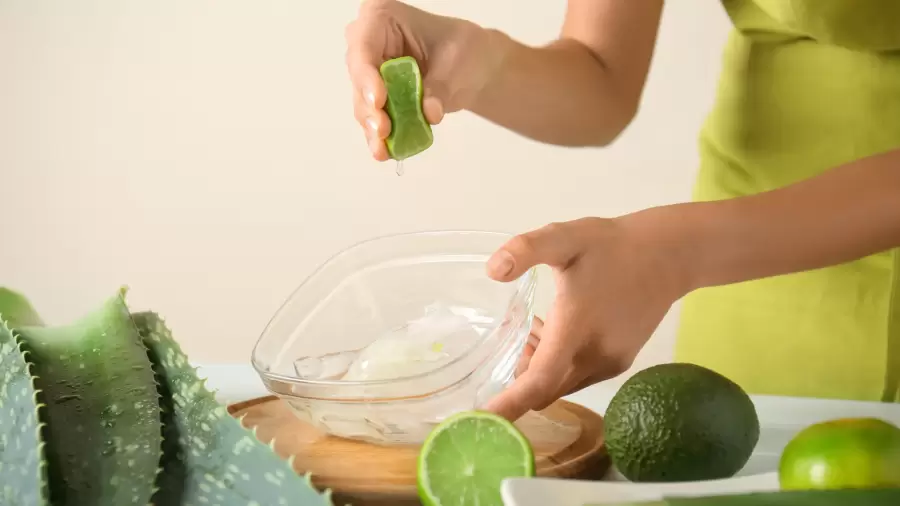 Cara Membuat Jus Lidah Buaya untuk Asam Lambung