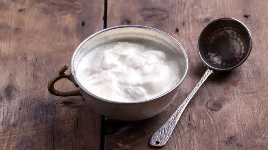 Cara Membuat Yoghurt dengan Fermentasi