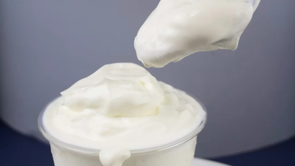 membuat yoghurt fermentasi