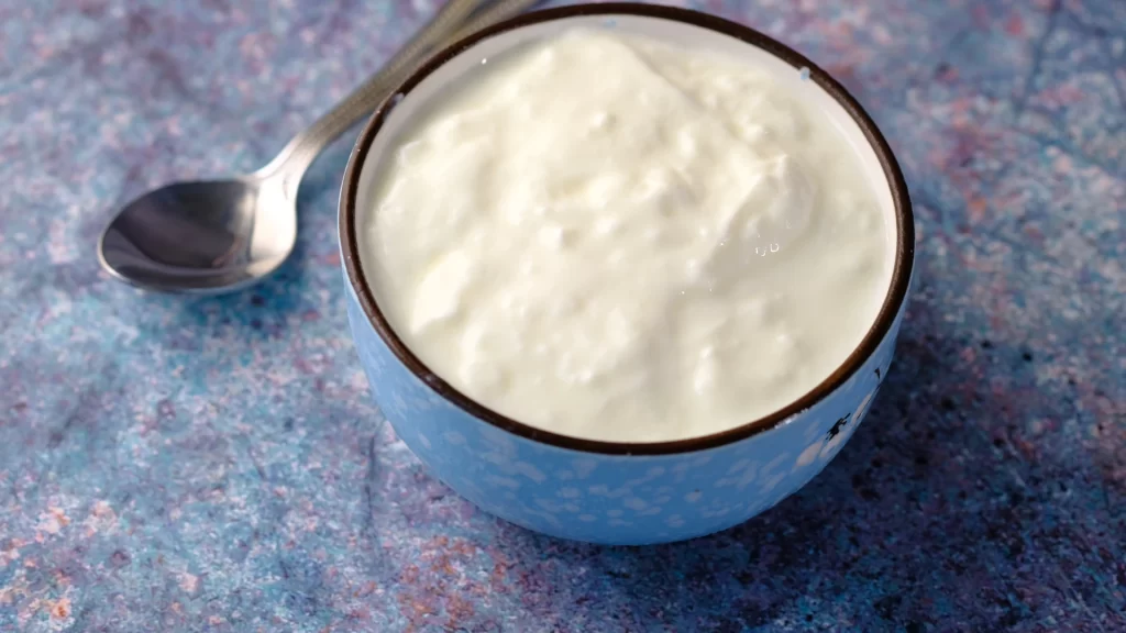 yoghurt adalah