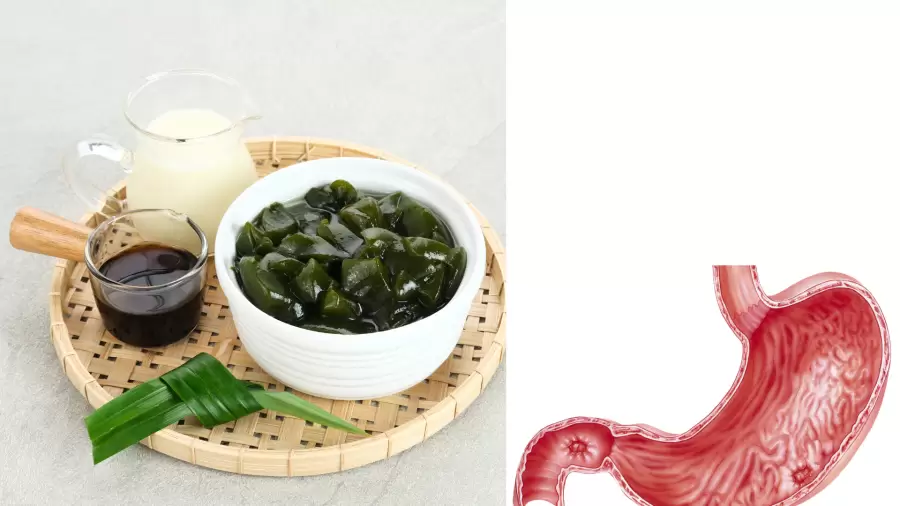 Apakah Cincau Baik untuk Lambung? Ketahui Manfaat dan Risikonya!