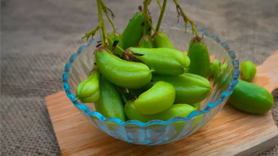 Apa Manfaat Belimbing Wuluh untuk Asam Lambung? Ini Penjelasannya