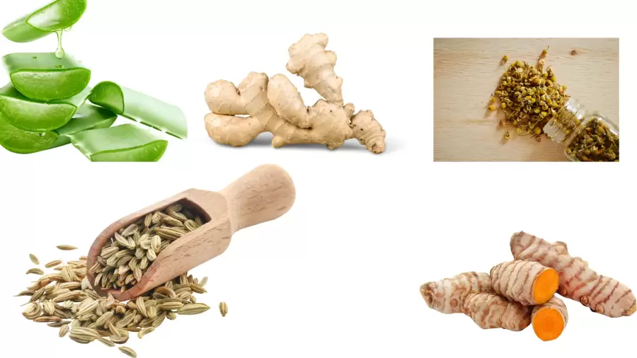 10 Rekomendasi Bahan Herbal untuk Mengatasi Asam Lambung dari Alam