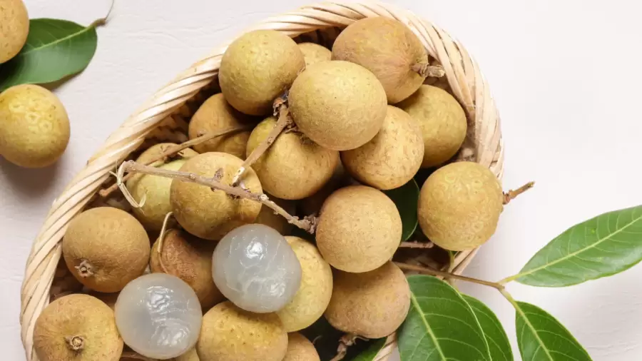 Buah Kelengkeng, Manfaat dan Pengaruhnya Bagi Penderita Asam Lambung