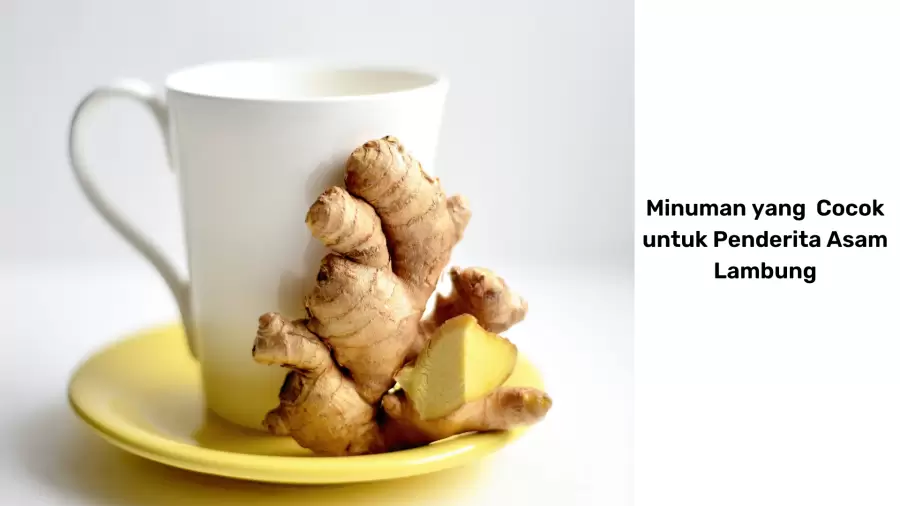 6 Rekomendasi Minuman Sehat untuk Penderita Asam Lambung