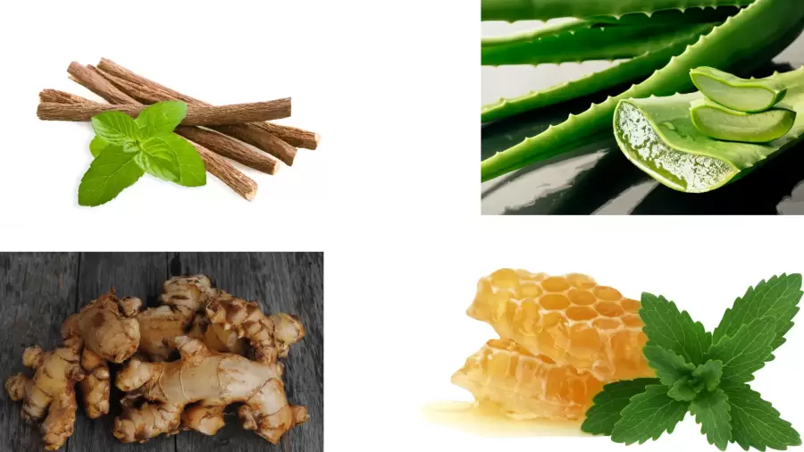 Obat Herbal untuk Nyeri Dada sampai ke Punggung